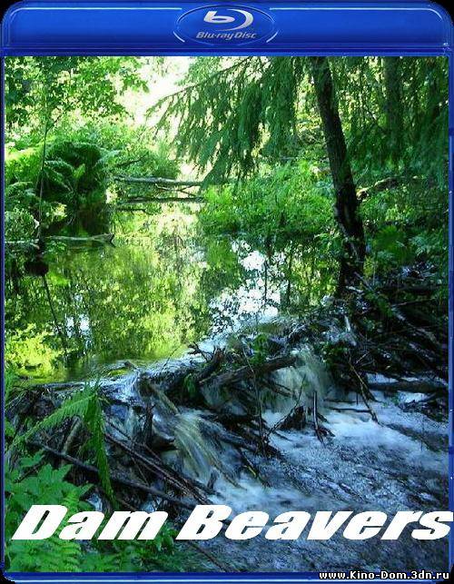 National Geographic: Бобровая плотина / National Geographic: Dam Beavers (2009) Онлайн